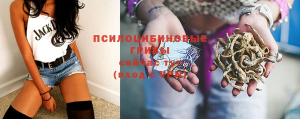 MDMA Верхний Тагил
