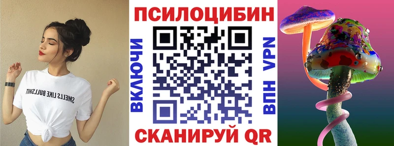 наркота  Волоколамск  Галлюциногенные грибы мицелий 